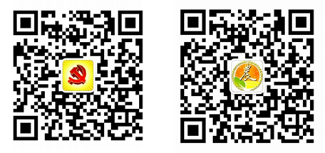 澳门银河娱乐城官网