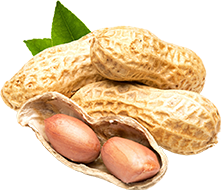 澳门银河娱乐城官网
